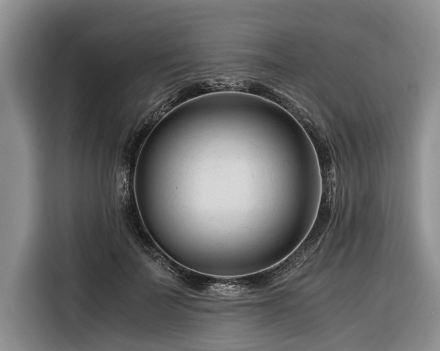 X0000116260699200912071022