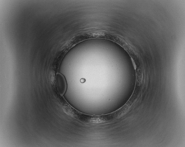 X0000116260704200912071022
