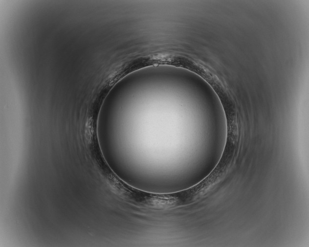 X0000116260707200912071022