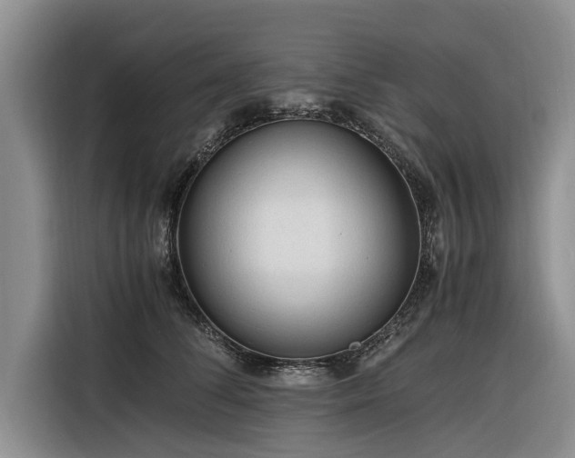 X0000116260708200912071022
