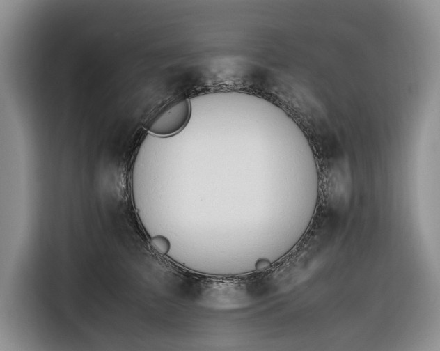 X0000116260709200912071022