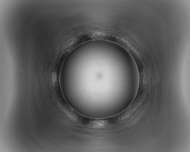 X0000116260711200912071022