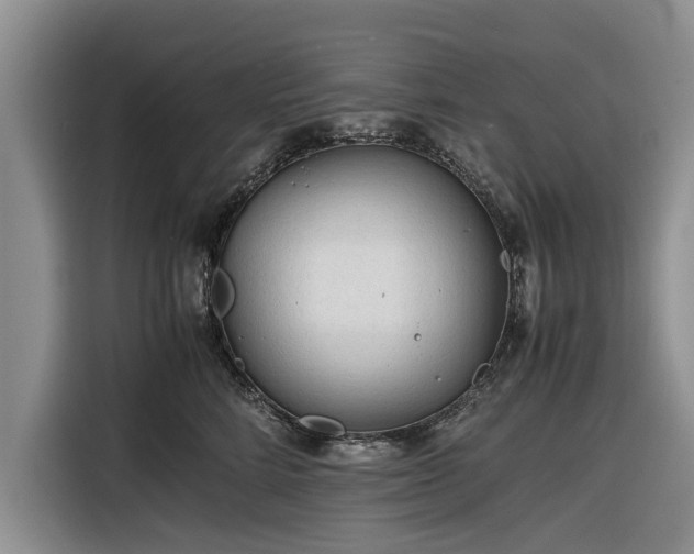 X0000116260712200912071022