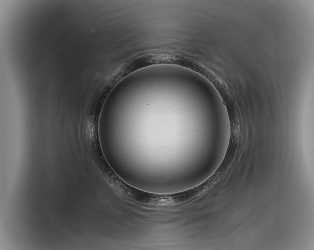 X0000116260715200912071022