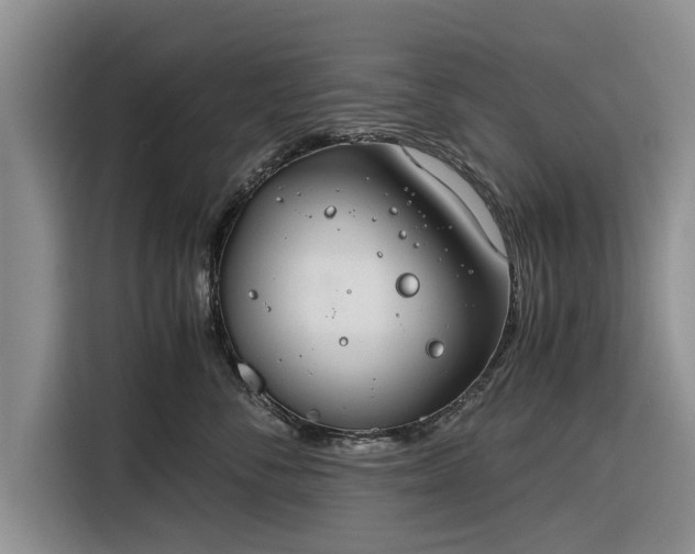 X0000116260716200912071022