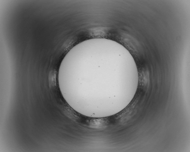 X0000116260717200912071022