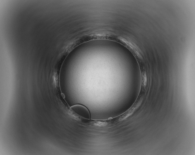 X0000116260718200912071022