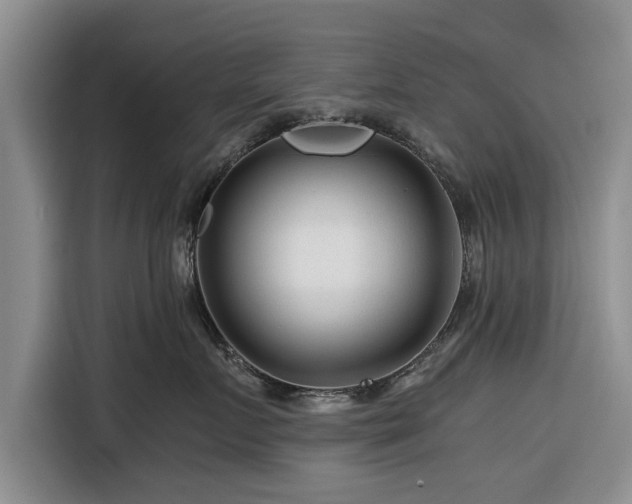 X0000116260719200912071022