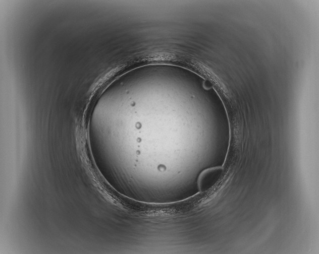 X0000116260721200912071021