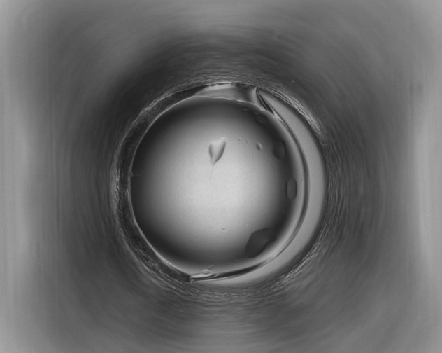 X0000116260722200912071022
