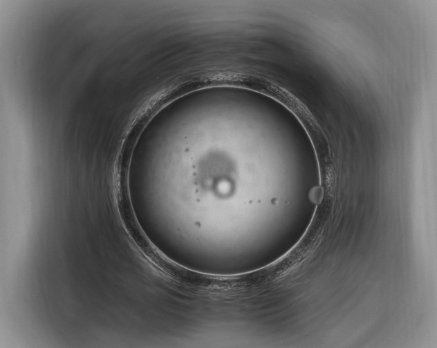X0000116260725200912071022