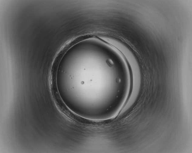 X0000116260726200912071022