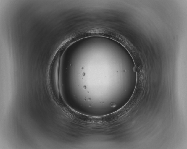 X0000116260727200912071022