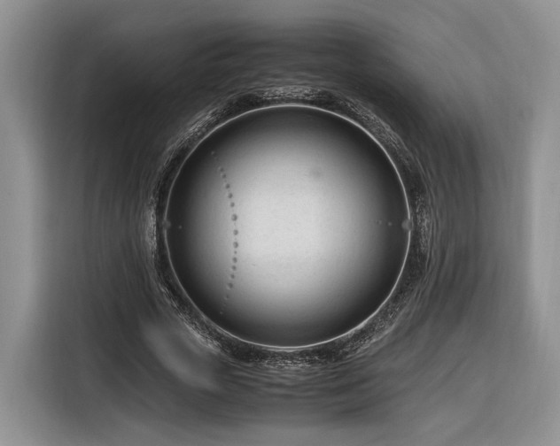 X0000116260729200912071022