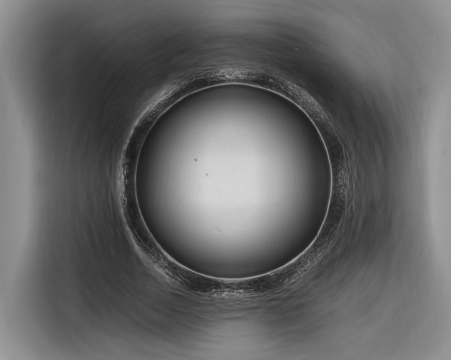 X0000116260730200912071022