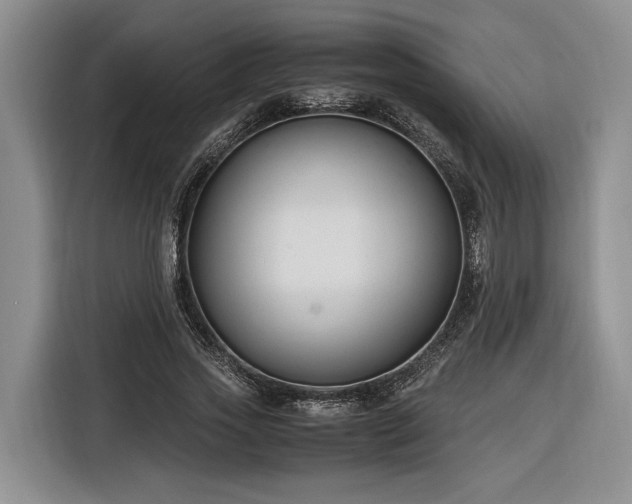 X0000116260733200912071022