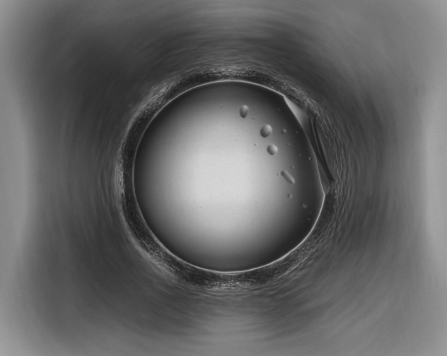X0000116260734200912071022
