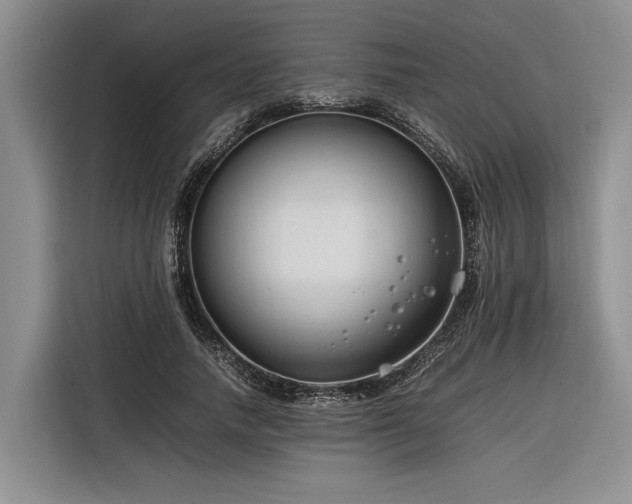 X0000116260738200912071022