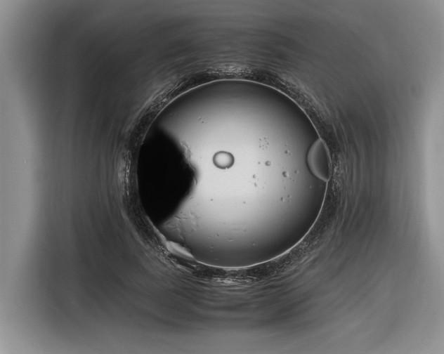 X0000116260739200912071022