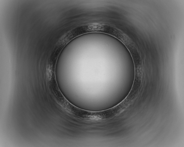 X0000116260741200912071022