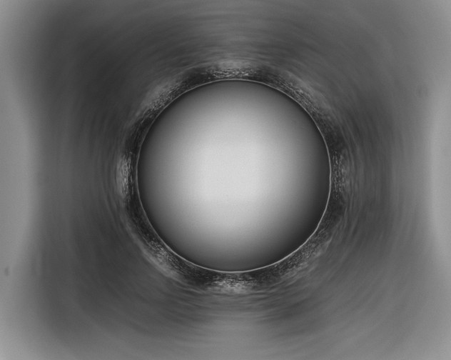 X0000116260742200912071022