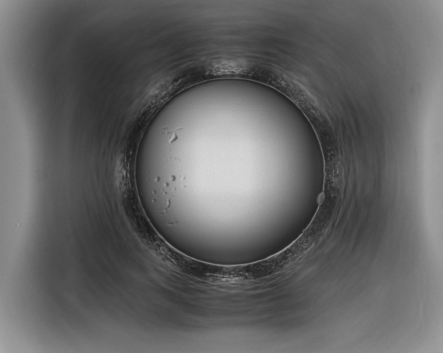 X0000116260743200912071022