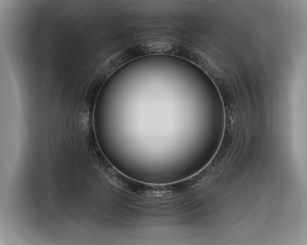 X0000116260745200912071022