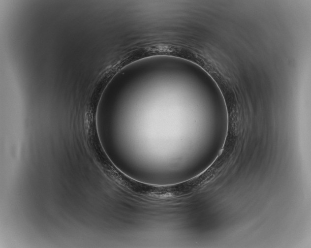 X0000116260747200912071022