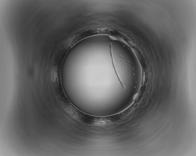 X0000116260754200912071022