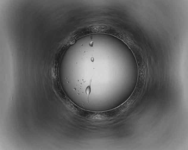 X0000116260755200912071022
