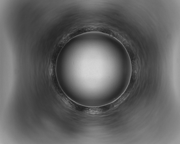 X0000116260758200912071022