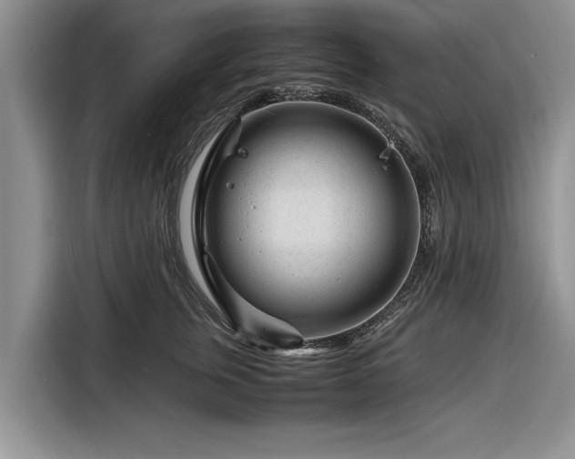X0000116260759200912071022