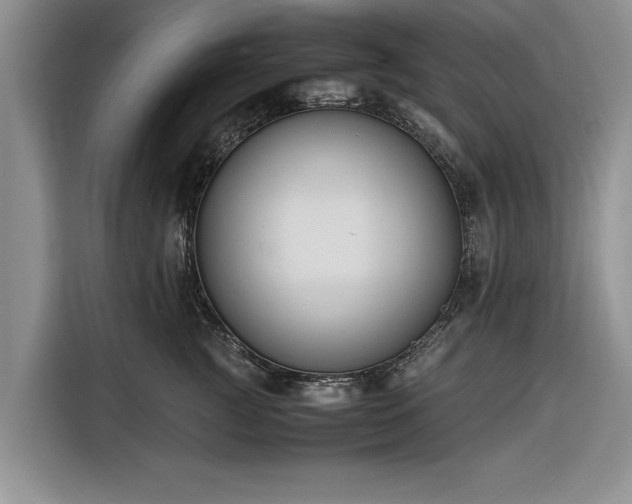 X0000116260761200912071022