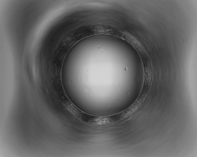 X0000116260762200912071022