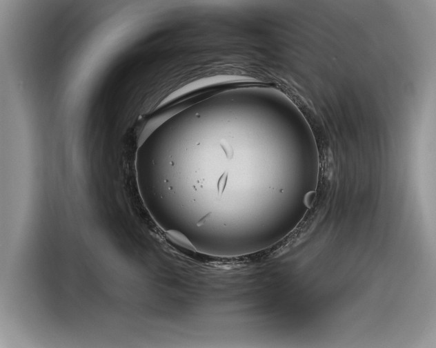 X0000116260763200912071022