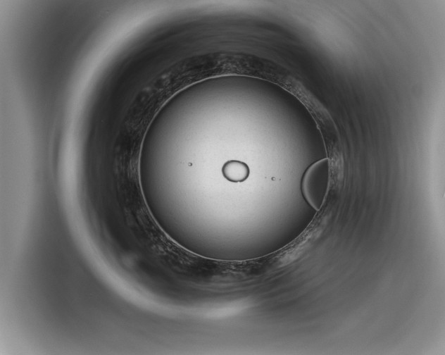 X0000116260765200912071022