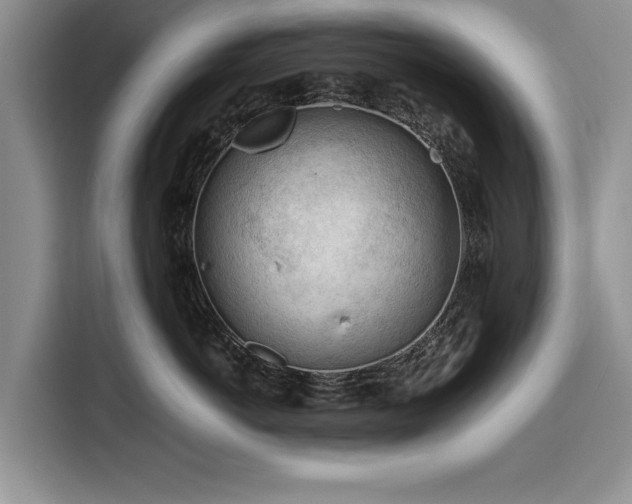 X0000116260766200912071022