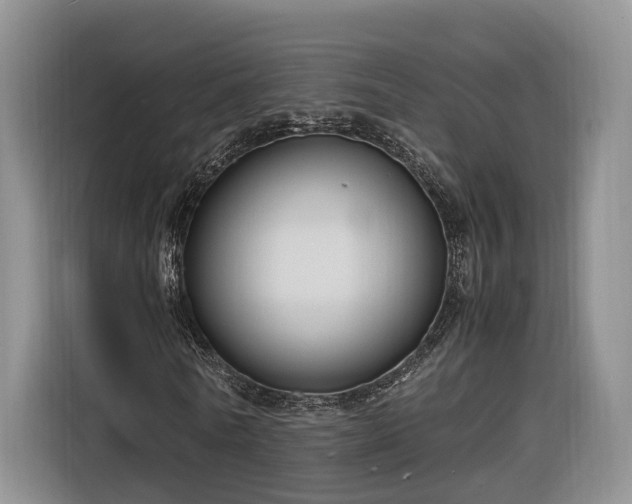 X0000116260770200912071021