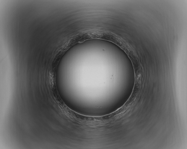 X0000116260772200912071021