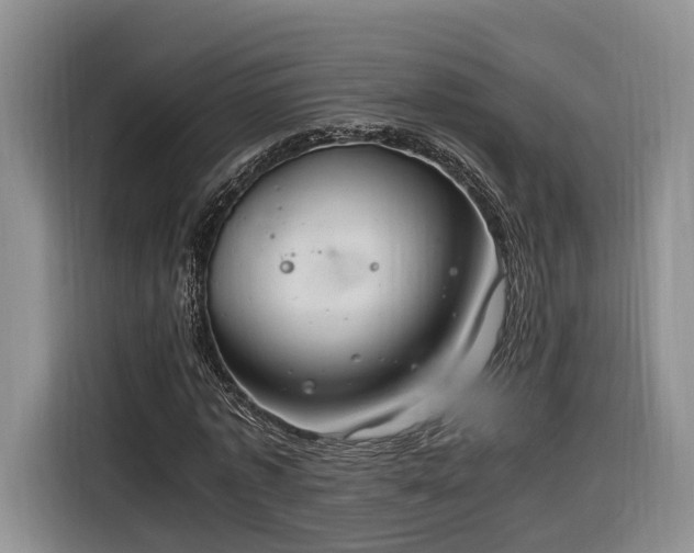 X0000116260773200912071021