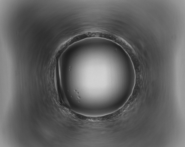 X0000116260775200912071021