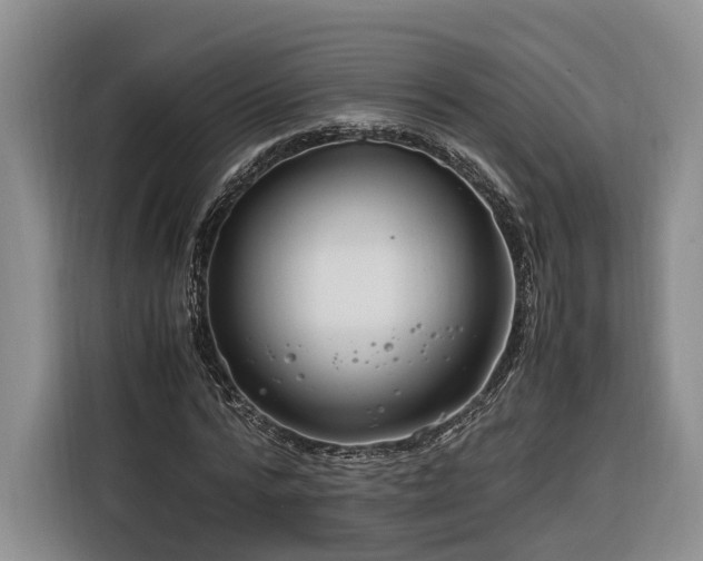 X0000116260776200912071021