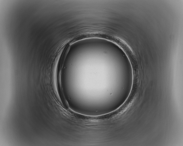 X0000116260777200912071021