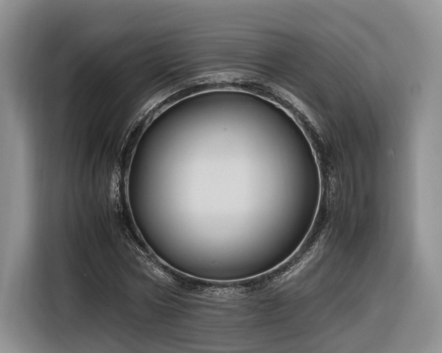 X0000116260778200912071021