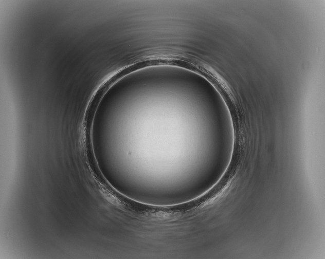 X0000116260779200912071021