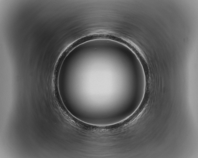 X0000116260783200912071021