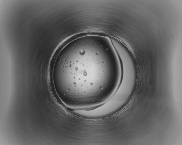 X0000116260784200912071021