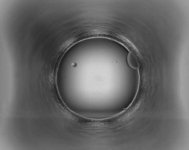 X0000116260785200912071021