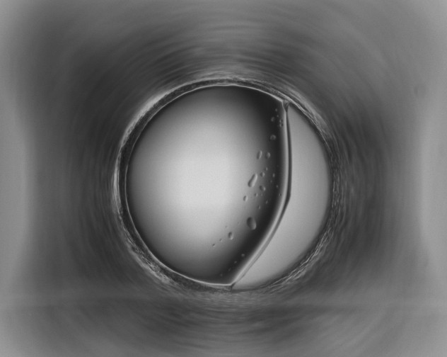 X0000116260788200912071021