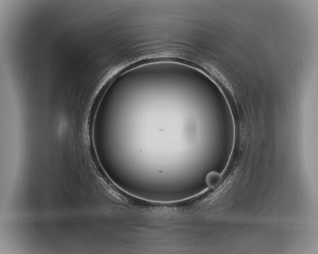 X0000116260789200912071021